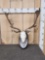 Fallow Deer Antlers On Skull