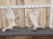 2 Moose Shed Antlers