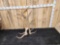Set Of 16.2 Lbs Elk Shed Antlers