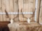 2 Sets Of Fallow Deer Antlers On Skulls