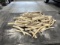 21 Lbs Of Elk Antler Tines
