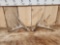Wild 5x5 Whitetail Shed Antlers