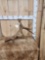 6 Lbs Self Standing Moose Shed Antler