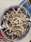 73 Lbs Of Deer Antlers