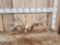 Heavy Mass 6x6 Whitetail Shed Antlers