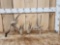 Set Of Double Droptine Whitetail Shed Antlers