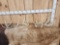 Group Of 4 Whitetail Shed Antlers