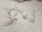 28.4 Lbs Of Elk Antler