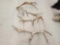 35 Lbs Of Elk Antler