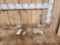 Set Of Wild 4x3 Whitetail Shed Antlers
