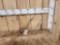 Freak Deer Shed Antler