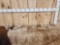 4 Whitetail Shed Antlers