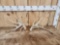 Set Of Gnarly Nontypical Whitetail Shed Antlers