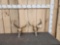 2 Sitka Blacktail Deer Skulls Antler