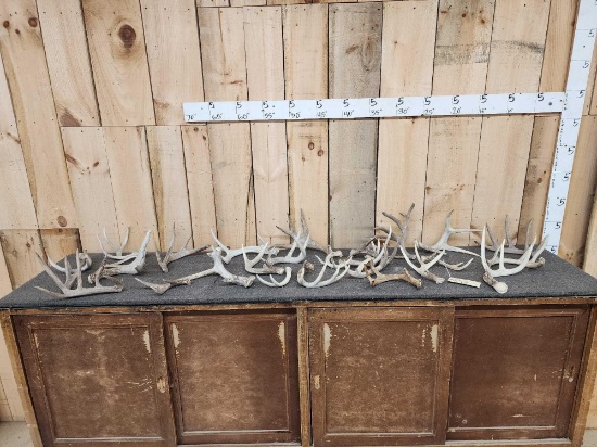 17.4 Lbs Of Whitetail Antlers