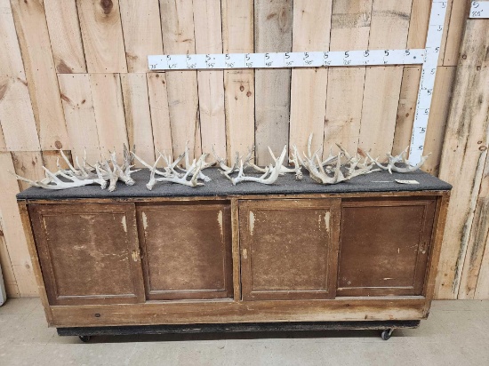 23 Lbs Of Whitetail Shed Antlers