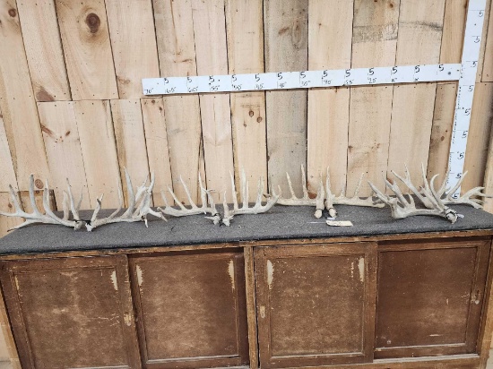 4 Matched Sets Of Whitetail Shed Antlers