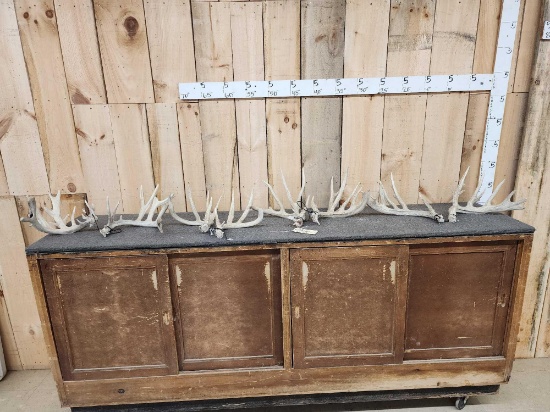 4 Matched Sets Of Whitetail Shed Antlers 14.4 Lbs