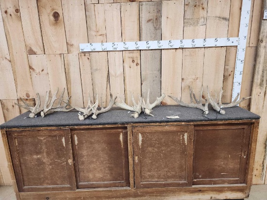 4 Matched Sets Of Whitetail Shed Antlers 21.6 Lbs