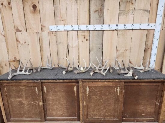 Group Of 10 Whitetail Shed Antlers 18.6 Lbs