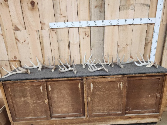 Group Of 10 Whitetail Shed Antlers 16.4 Lbs