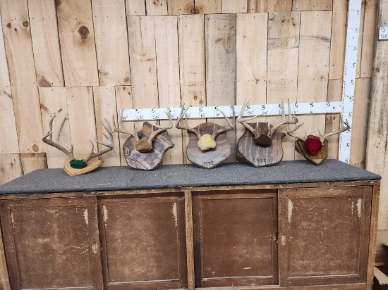 5 Sets Of Whitetail Antlers On Plaques