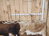14 Lbs Of Elk Shed Antlers