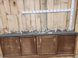16.6 Lbs Of Whitetail Shed Antlers