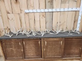 17.2 Lbs Of Whitetail Shed Antlers