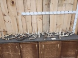 19 Lbs Of Whitetail Shed Antlers