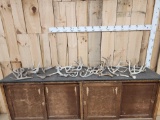 17.4 Lbs Of Whitetail Antlers