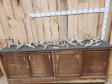 18 Lbs Of Whitetail Shed Antlers