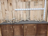 4 Matched Sets Of Whitetail Shed Antlers 21.8 Lbs