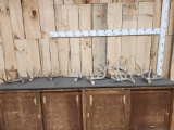 Group Of 10 Whitetail Shed Antlers 16.8 Lbs