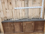 20.8 Lbs Of Whitetail Antlers