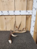 75
