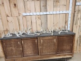 21.6 Lbs Of Whitetail Shed Antlers