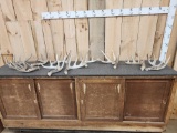 Group Of 10 Whitetail Shed Antlers 17.2 Lbs