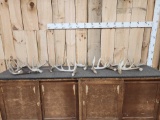 group Of 10 Whitetail Shed Antlers 18.4 Lbs