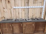 Group Of 10 Whitetail Shed Antlers 17Lbs