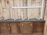 14.4 Lbs Of Whitetail Shed Antlers