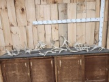 19.4 Lbs Of Whitetail Shed Antlers