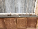 3 Sets Of Whitetail Shed Antlers