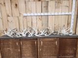 30.6 Lbs Of Whitetail Cut Off Antlers