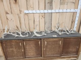 19.6 Lbs Of Whitetail Shed Antlers