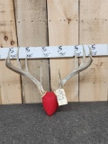 5x5 Whitetail Antlers On Plaque