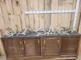 20 Lbs Of Whitetail Shed Antlers