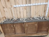 17.6 Lbs Of Whitetail Antlers
