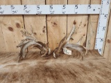Set Of 215
