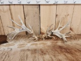 Set Of 240